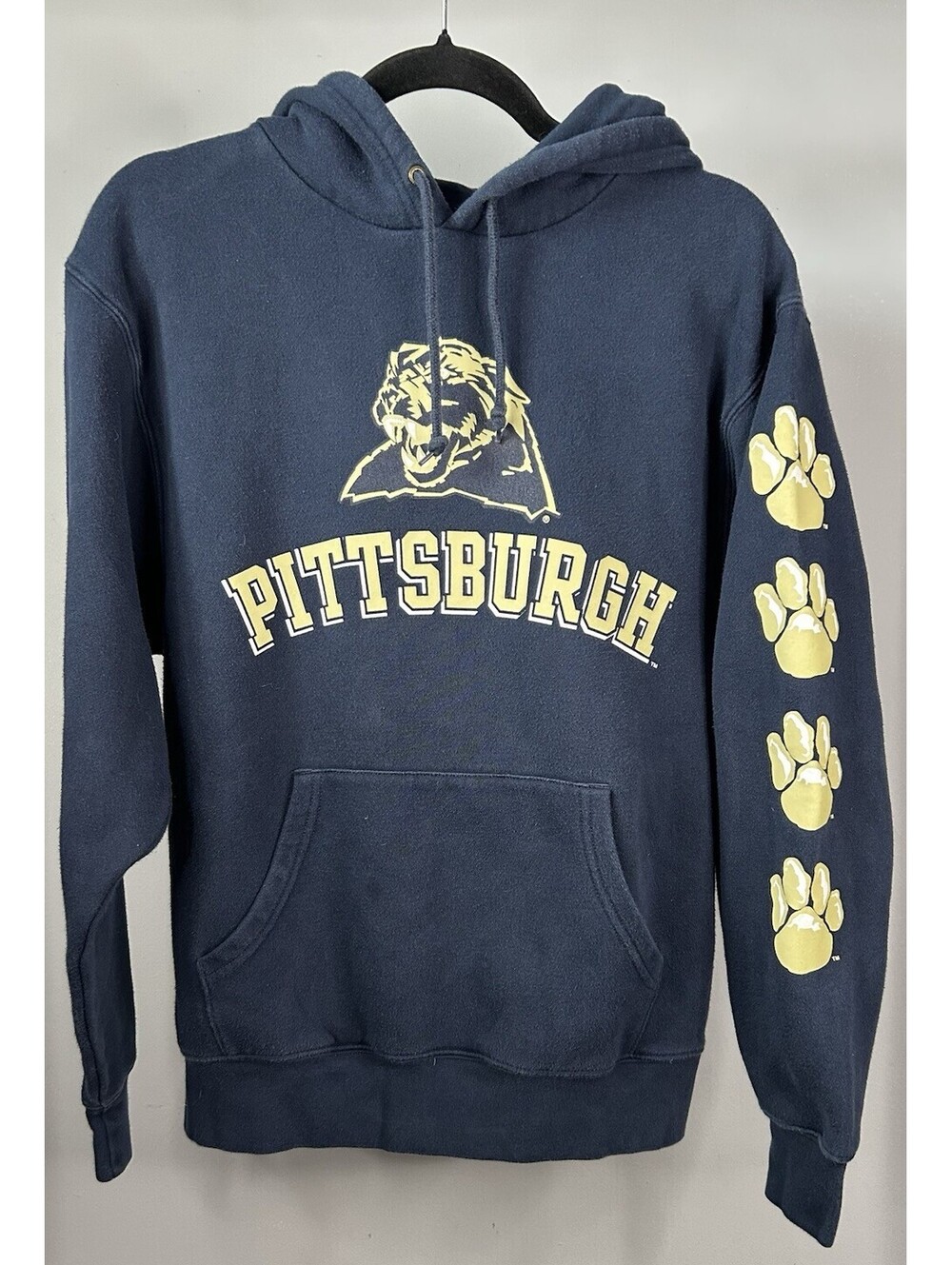 University of Pittsburgh Jansport Hoodie Men’s Size Small